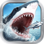 翼游ssr节点购买